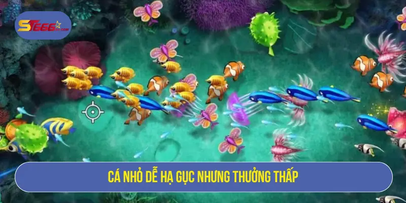 Bắn Cá Kingfun – Săn Boss Khủng, Nhận Thưởng Lớn 2 Cá nhỏ dễ hạ gục nhưng thưởng thấp