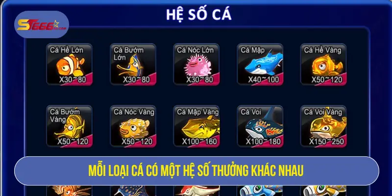 Bắn Cá Ồ Zê – Đại Dương Kịch Tính, Thưởng Bùng Nổ 3 Mỗi loại cá có một hệ số thưởng khác nhau